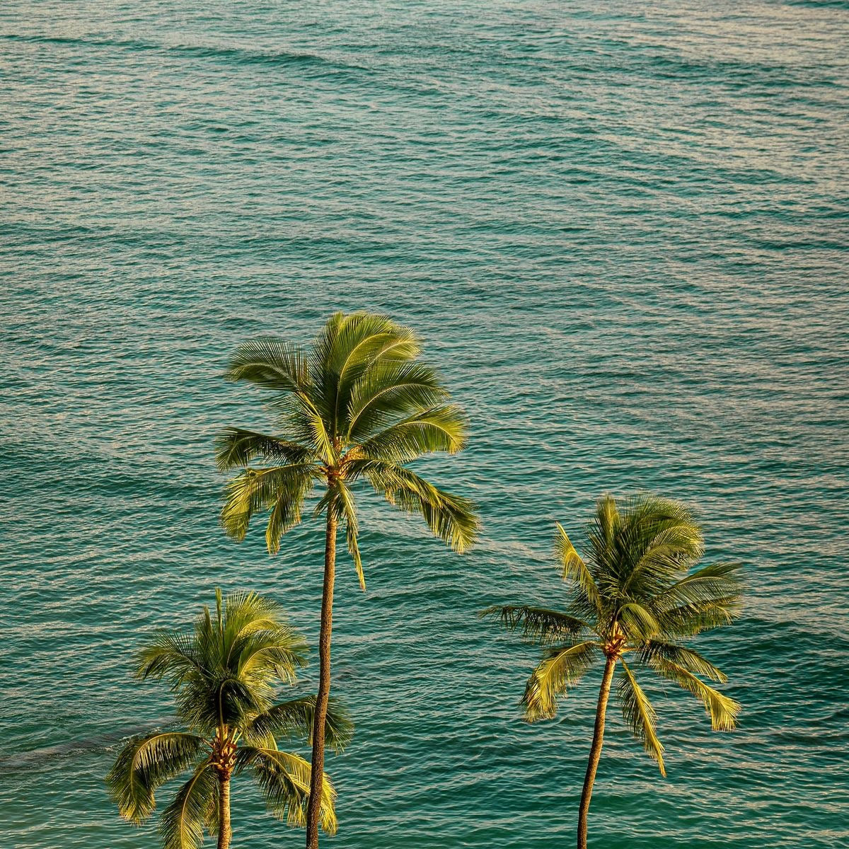 Refúgio Pipa | 12-17 Nov